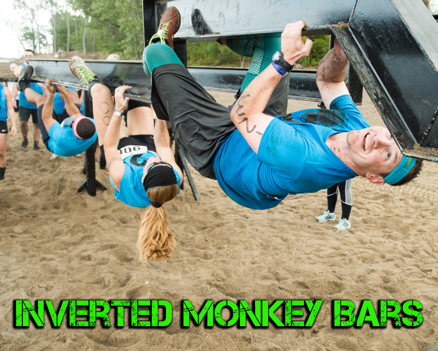 Inverted Monkey Bars