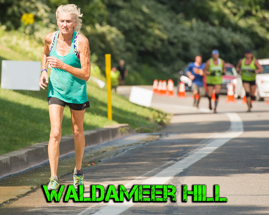 Waldameer Hill